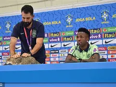 爱游戏-巴西队输给意大利，悲剧淘汰 